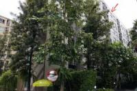 ห้องชุด/คอนโดมิเนียมหลุดจำนอง ธ.ธนาคารไทยพาณิชย์ สมุทรปราการ เมืองสมุทรปราการ สุขุมวิทสำโรงเหนือ