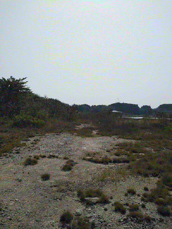 ที่ดินหลุดจำนอง ธ.ธนาคารกรุงเทพ สมุทรปราการ บางบ่อ 